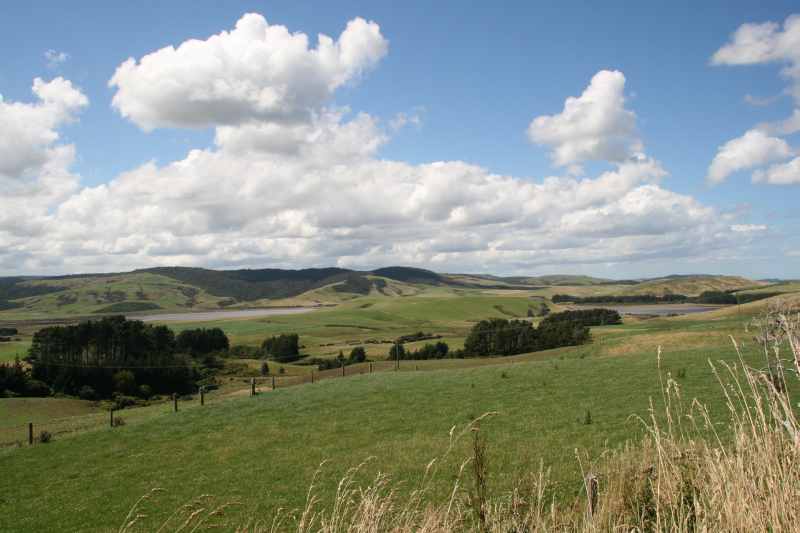 Nieuw-Zeeland 2011 - 1790